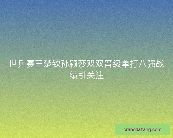 世乒赛王楚钦孙颖莎双双晋级单打八强战绩引关注